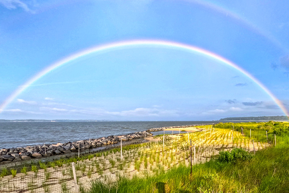 penniman-spit-rainbow-homepage