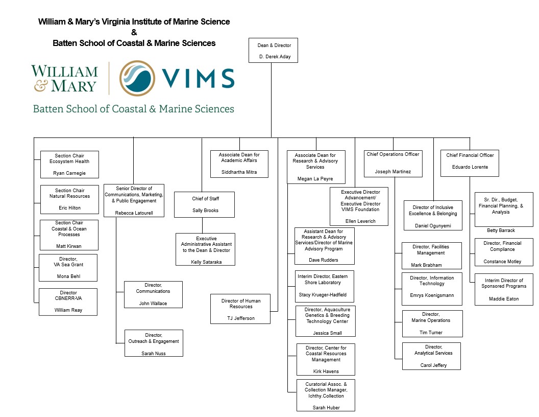 VIMS & Batten School Organizational Chart