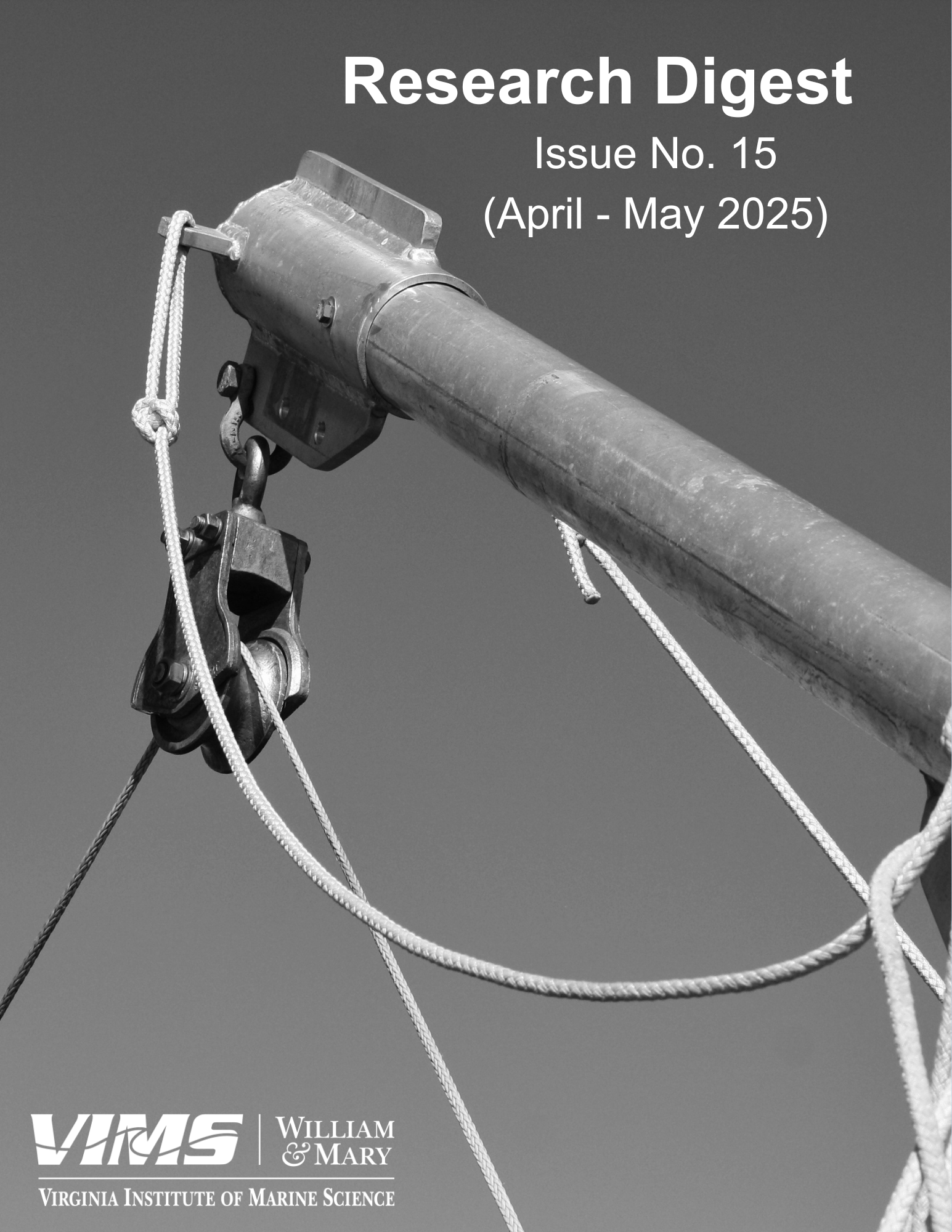 Issue no. 15 - Cover