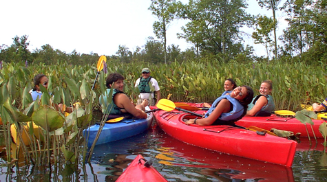 Cedar Island Field Trip