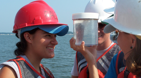 York River Field Trip