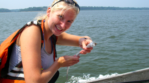 Experiencing the Chesapeake