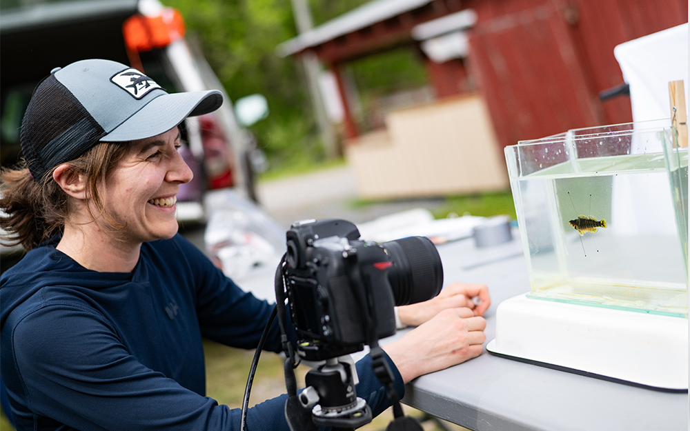 Katherine Bemis photographing fishes in the field during the annual VIMS Roanoke Roundup. Photo credit: Miguel Montalvo.