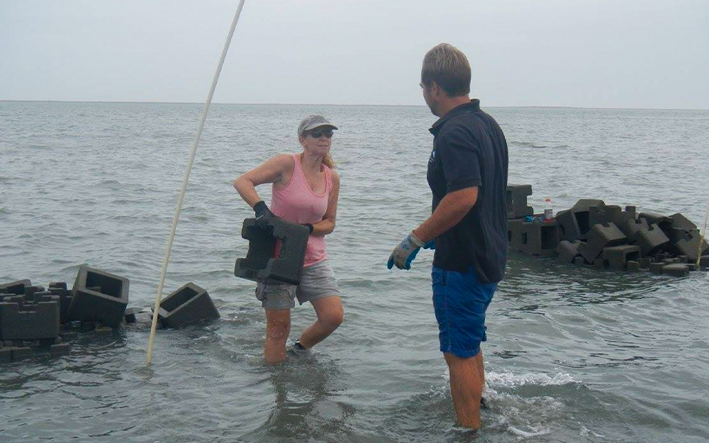 Bieri building oyster reefs for restoration and marsh shoreline resilience in the coastal bays of Virginia. Photo provided by Jill Bieri.
