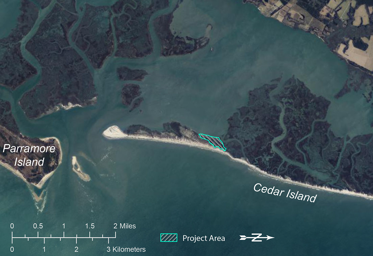 An aerial view from spring 2025 showing the location of the project site on Cedar Island. Background image provided by the Virginia Geographic Information Network.