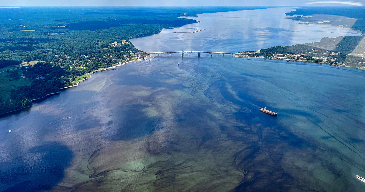 An algal bloom on the York River.