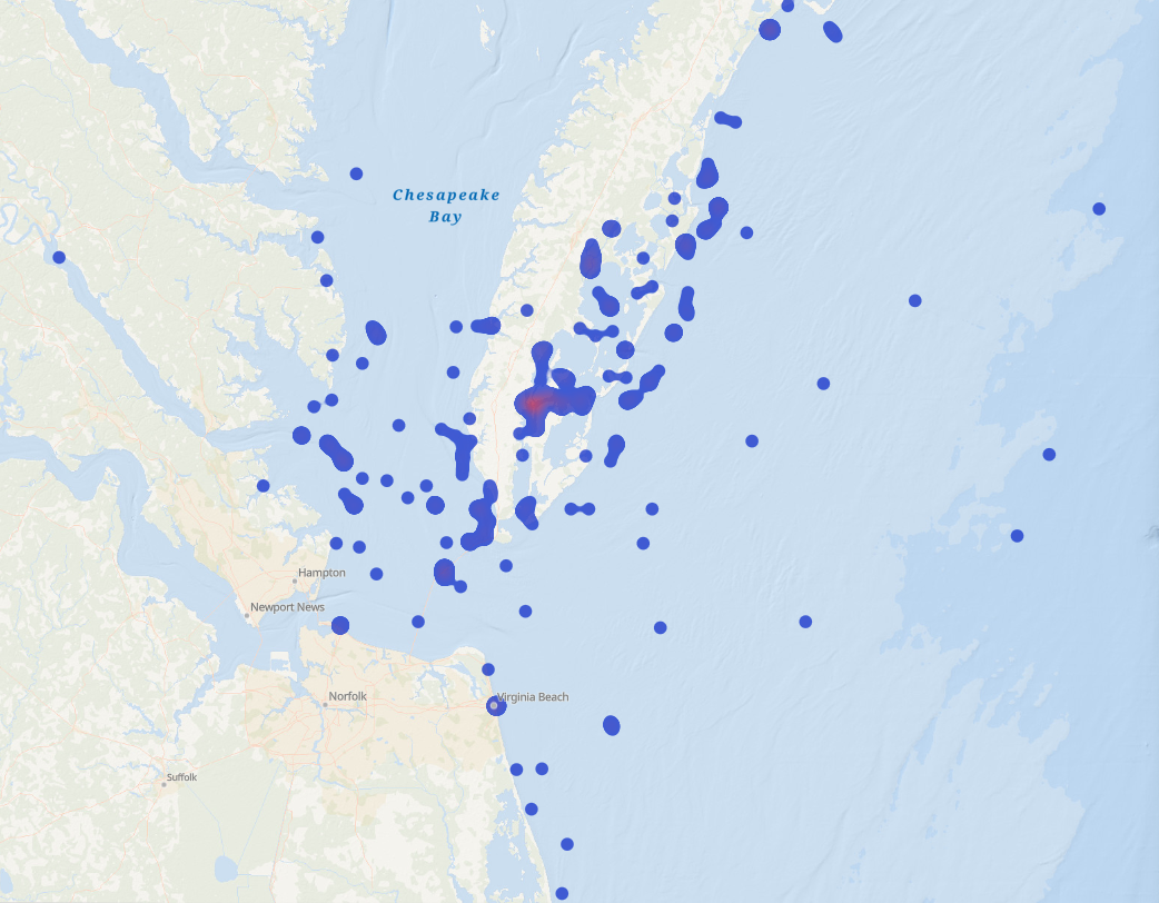 Screenshot of VIMS Recapture Map, with blue dots indicating locations of recaptured sharks in the Chesapeake Bay and offshore