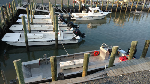 ESL vessel fleet