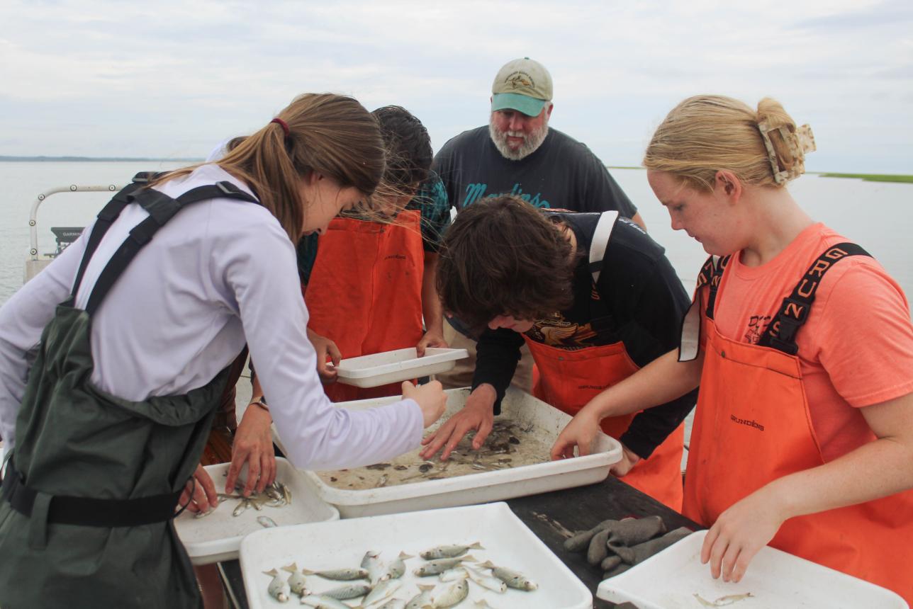 Student Interns at ESL