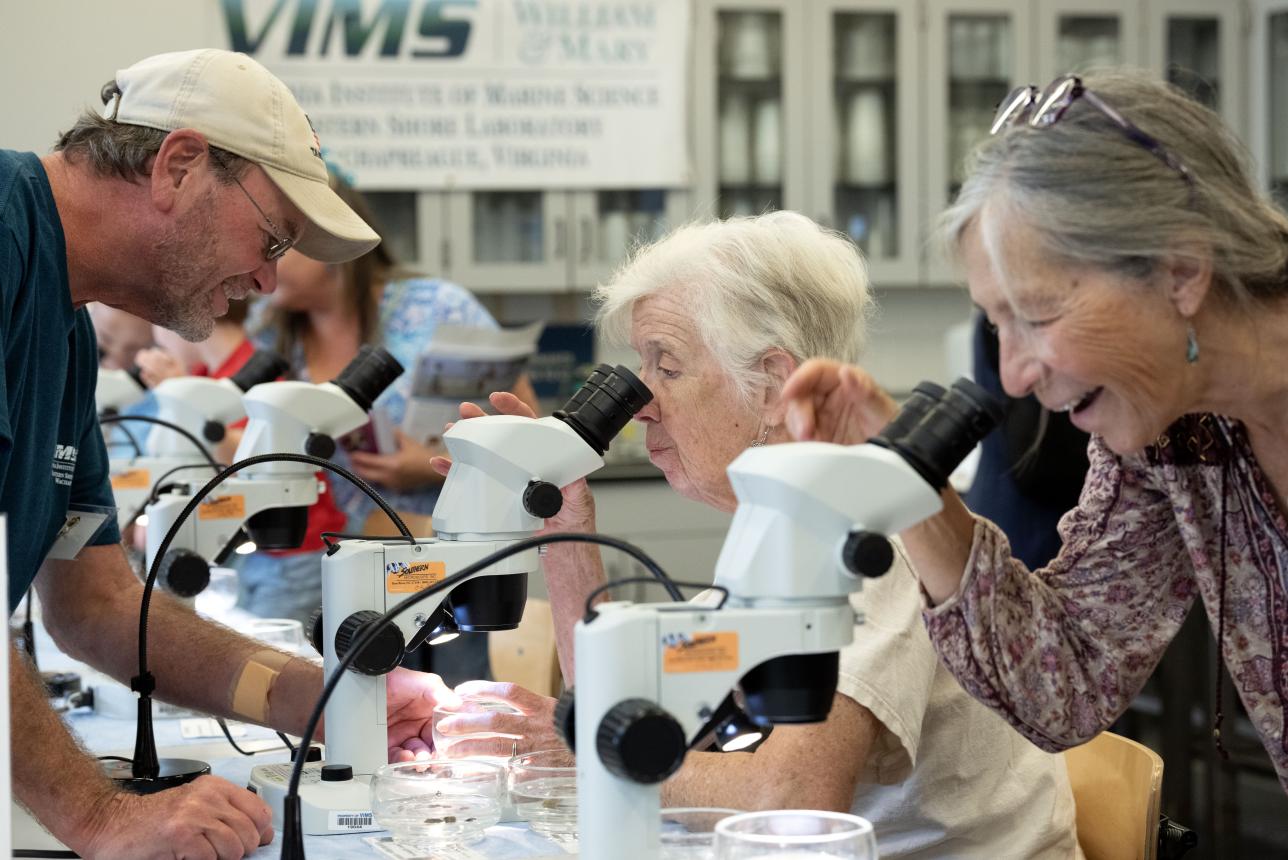 Public citizens at ESL