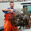 Blue Crab