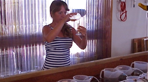 Summer Aides 2010
