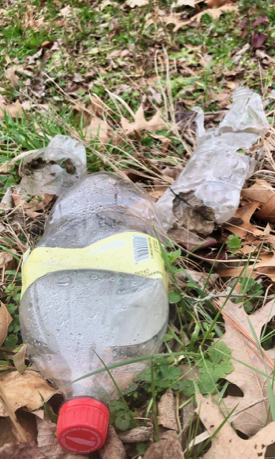 Most plastic trash begins its life on land. © D. Malmquist/VIMS.