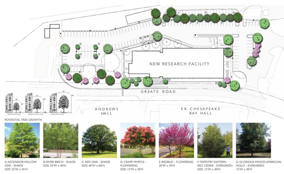 The surrounding landscape will feature native plants such as switchgrass, serviceberry, winterberry, summer sweet, redbud, river birch, and Eastern Red Cedar. © Baskervill.