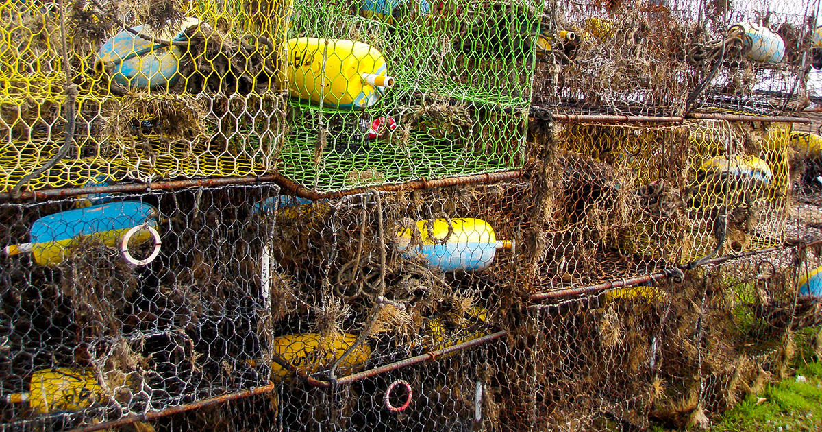 derelict-traps-social