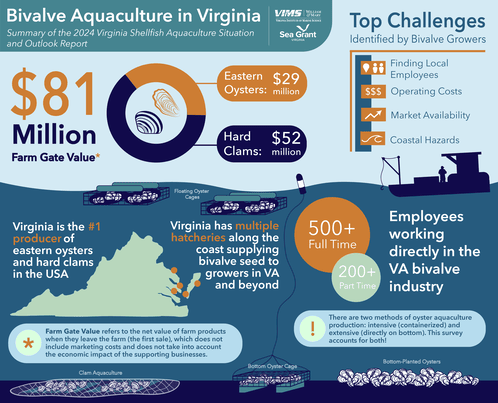Infographic showing that Virginia’s bivalve aquaculture industry produces $81 million in farm gate value and employs 700+ people. Source: Marine Advisory Program.