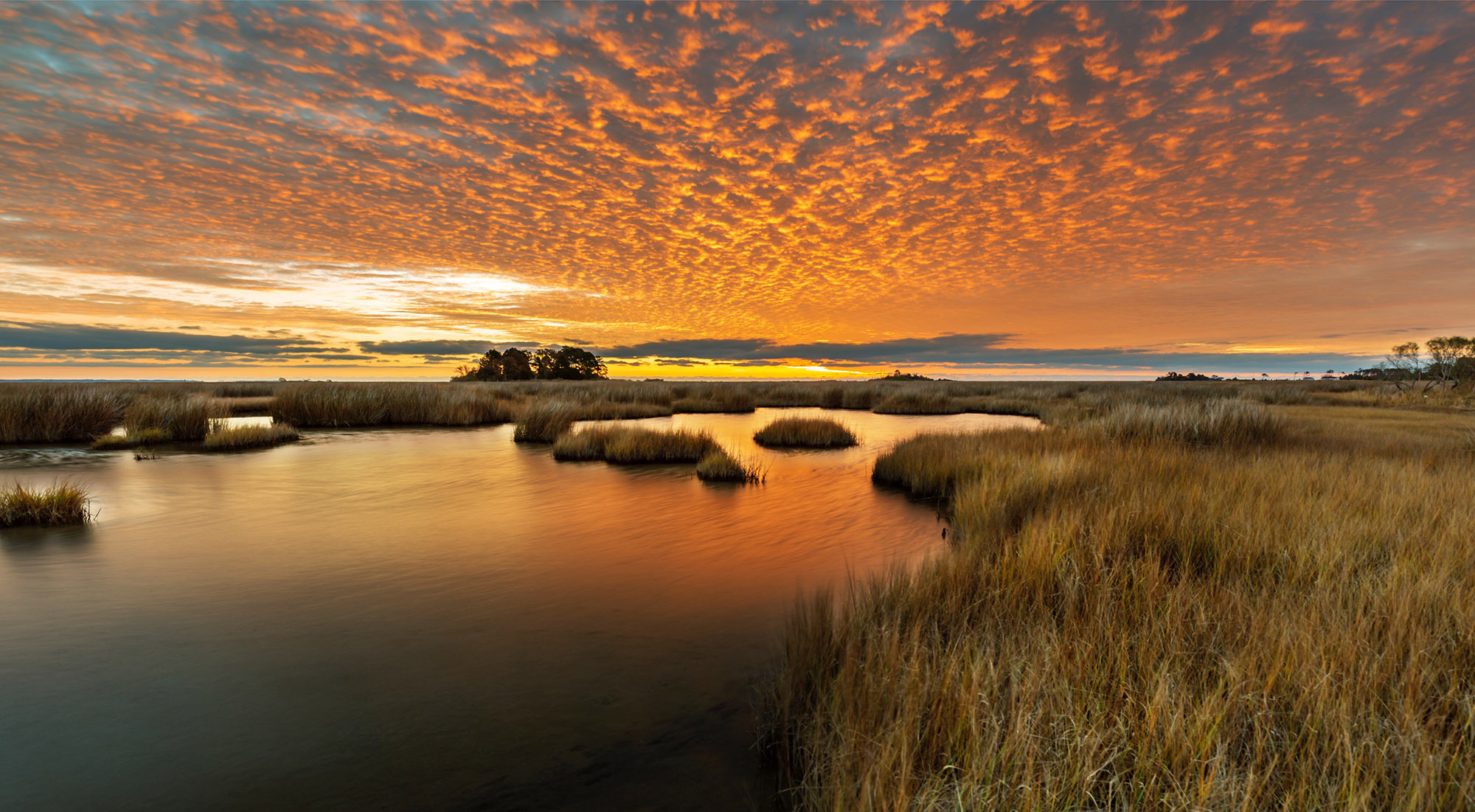 The Guinea marshes at sunset. Photo by Wolfgang Vogelbein