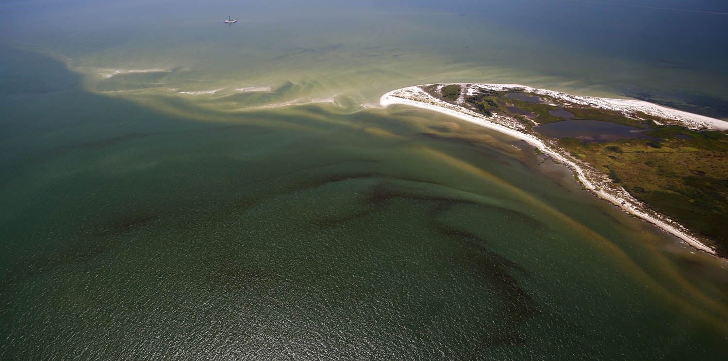 An aerial view of a harmful algal bloom in the Chesapeake Bay near New Point Comfort. Dead zones form when excess nutrients fuel algal blooms that deplete oxygen as they decay. Photo by Wolfgang Vogelbein.