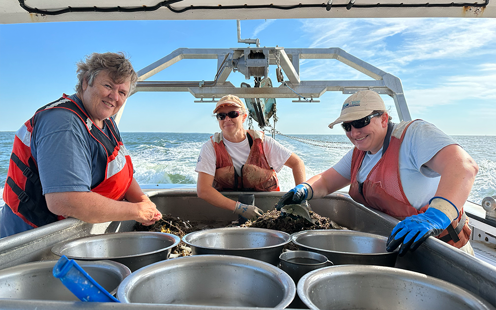 penniman-spit-rainbow-homepage