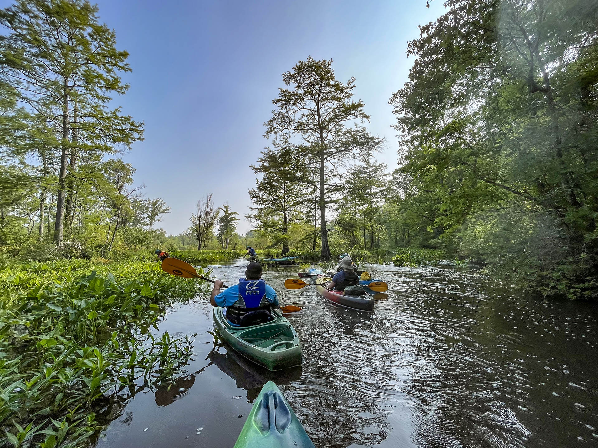 Paddling in the York Watershed System with Friends of the Dragon Run. Photo provided by CBNERR-VA