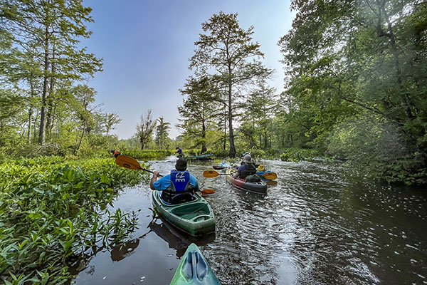 paddling-thumbnail