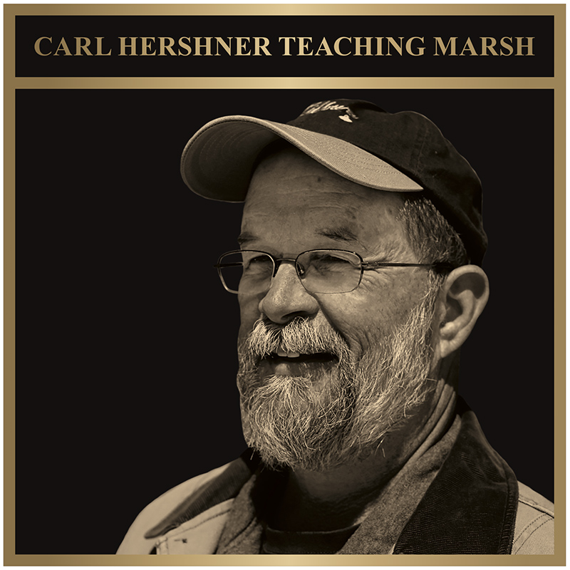 In 2020, the Teaching Marsh was renamed in honor of Emeritus Professor Carl Hershner. Donations can be made to ensure the marsh may continue to be enjoyed by visitors and students. 