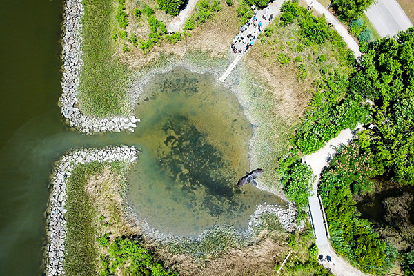 An aerial view of the Batten School &amp; VIMS Teaching Marsh. 