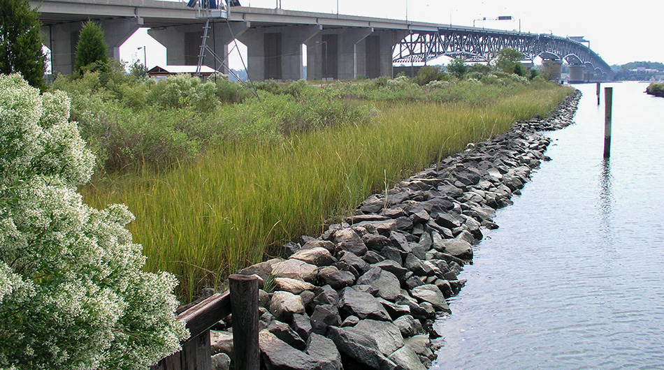 The resilient canal shoreline 40 years later.  Photo by Karen Duhring
