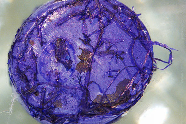 A micrograph of a polyethylene microplastic bead after incubating in the York River with a stain applied to better visualize the biofilm that formed on its surface. Photo by Bongkeun Song.