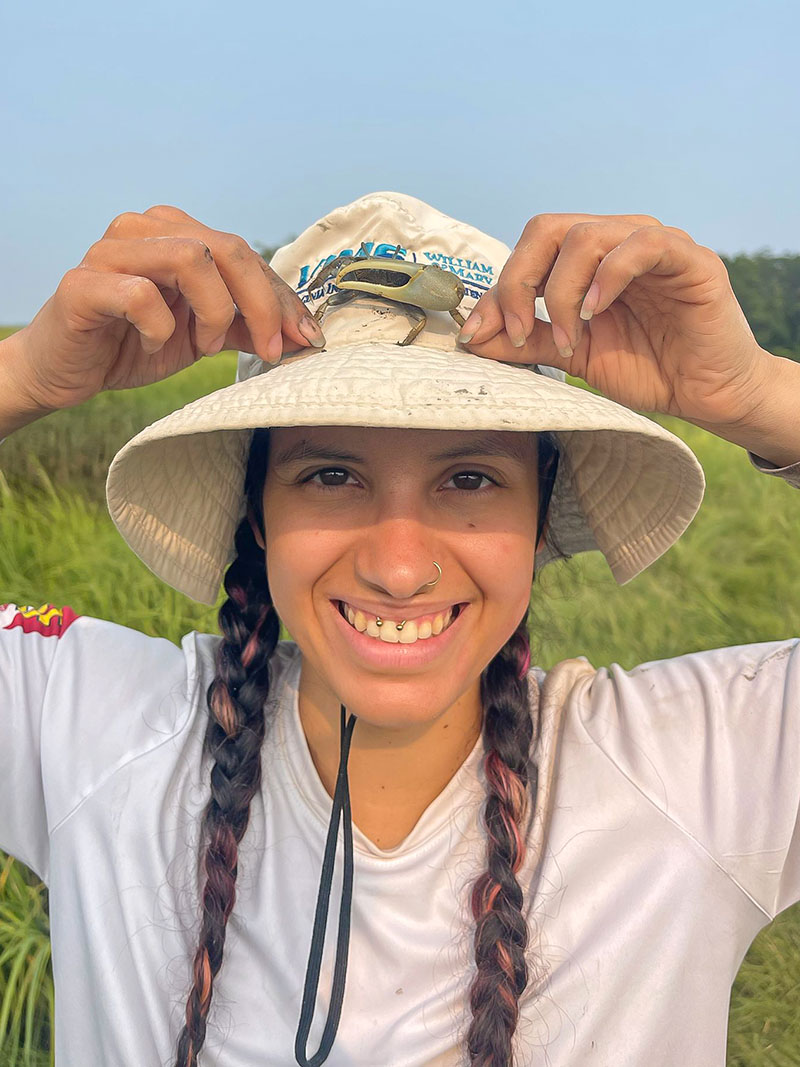 Lead author Valerie Acosta-Rodríguez holding a marsh fiddler crab, another species that has expanded its range due to environmental change. Photo by Claire Curran. 