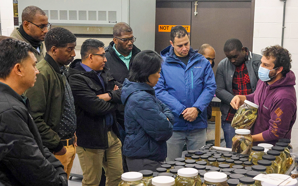 Collection Manager Sarah Huber (not pictured) and Ph.D. student Miguel Montalvo (far-right) showed participants a range of unique marine specimens. Photo by Candace Johnson.