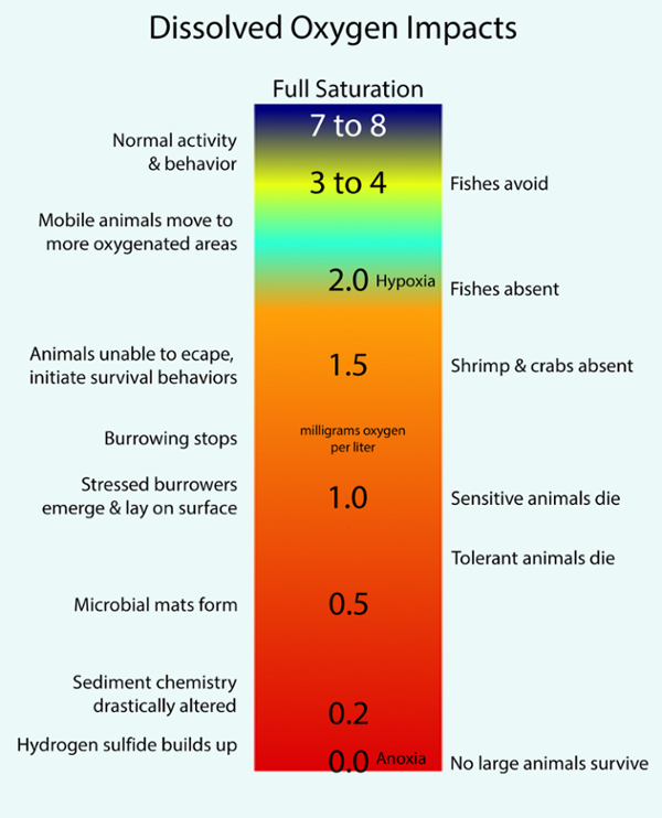 DO Impacts