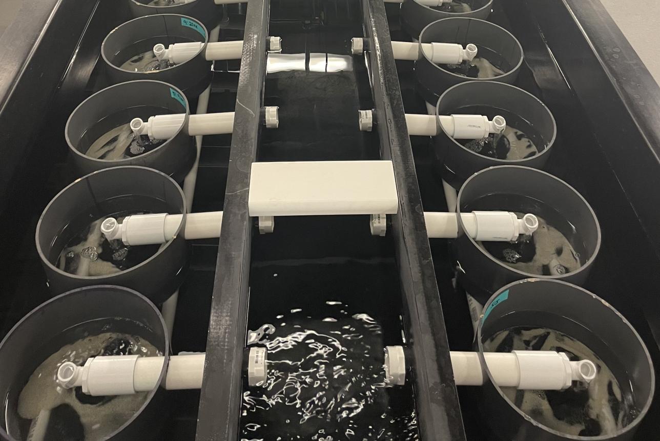 Oyster aquaculture equipment