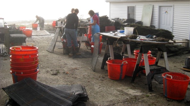 Field lab