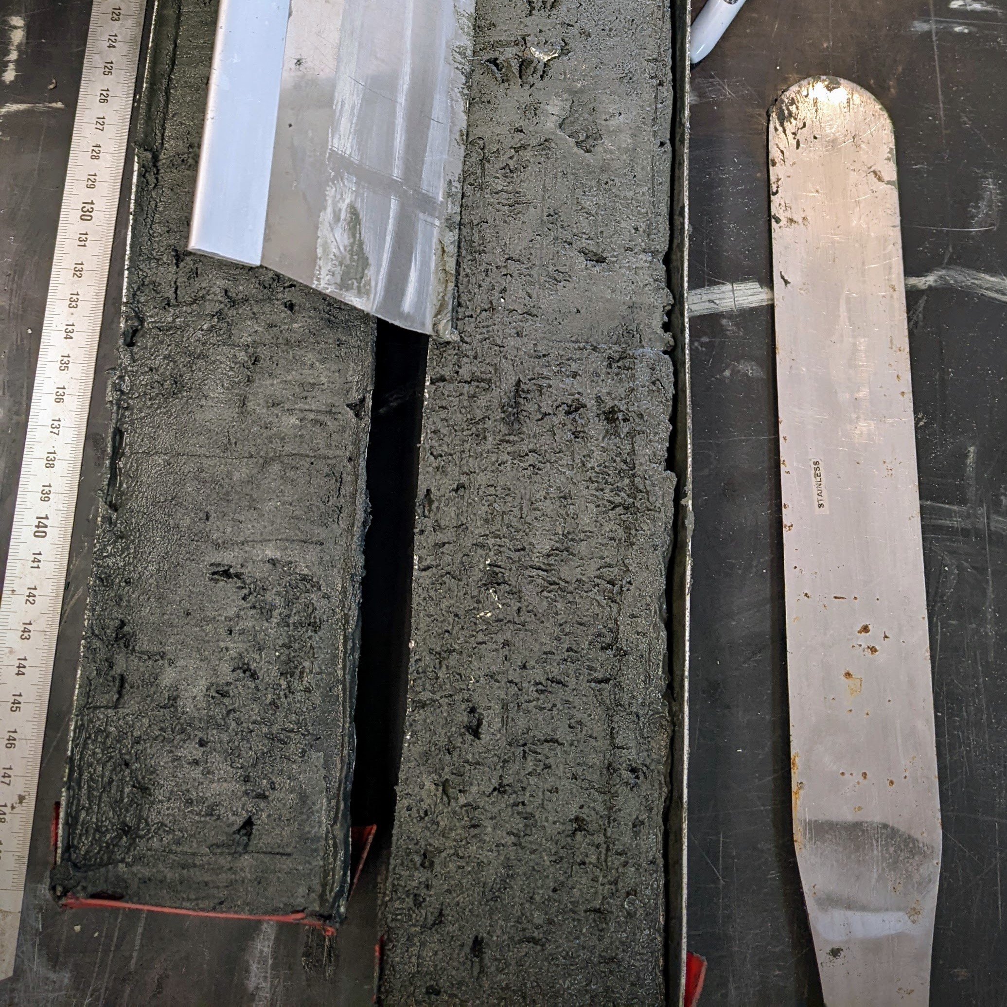 Freshly split sediment core