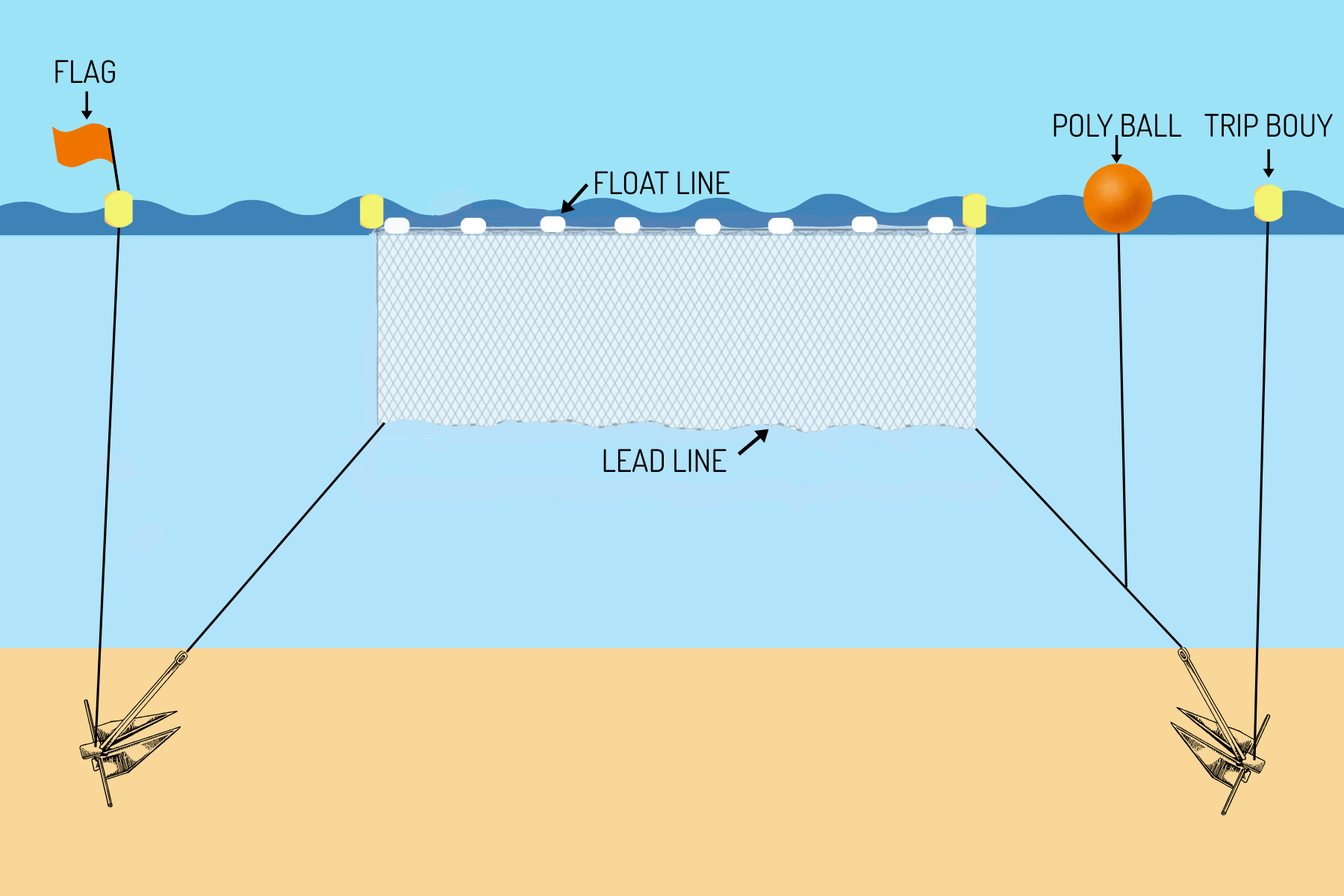 Anchored Gill Net