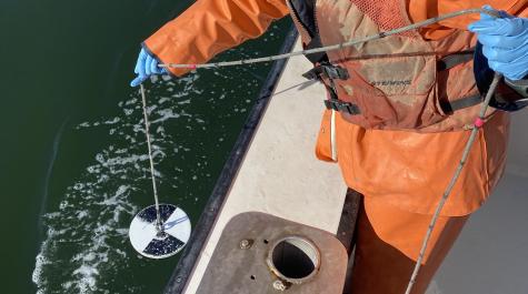 Tagging Blue Crabs