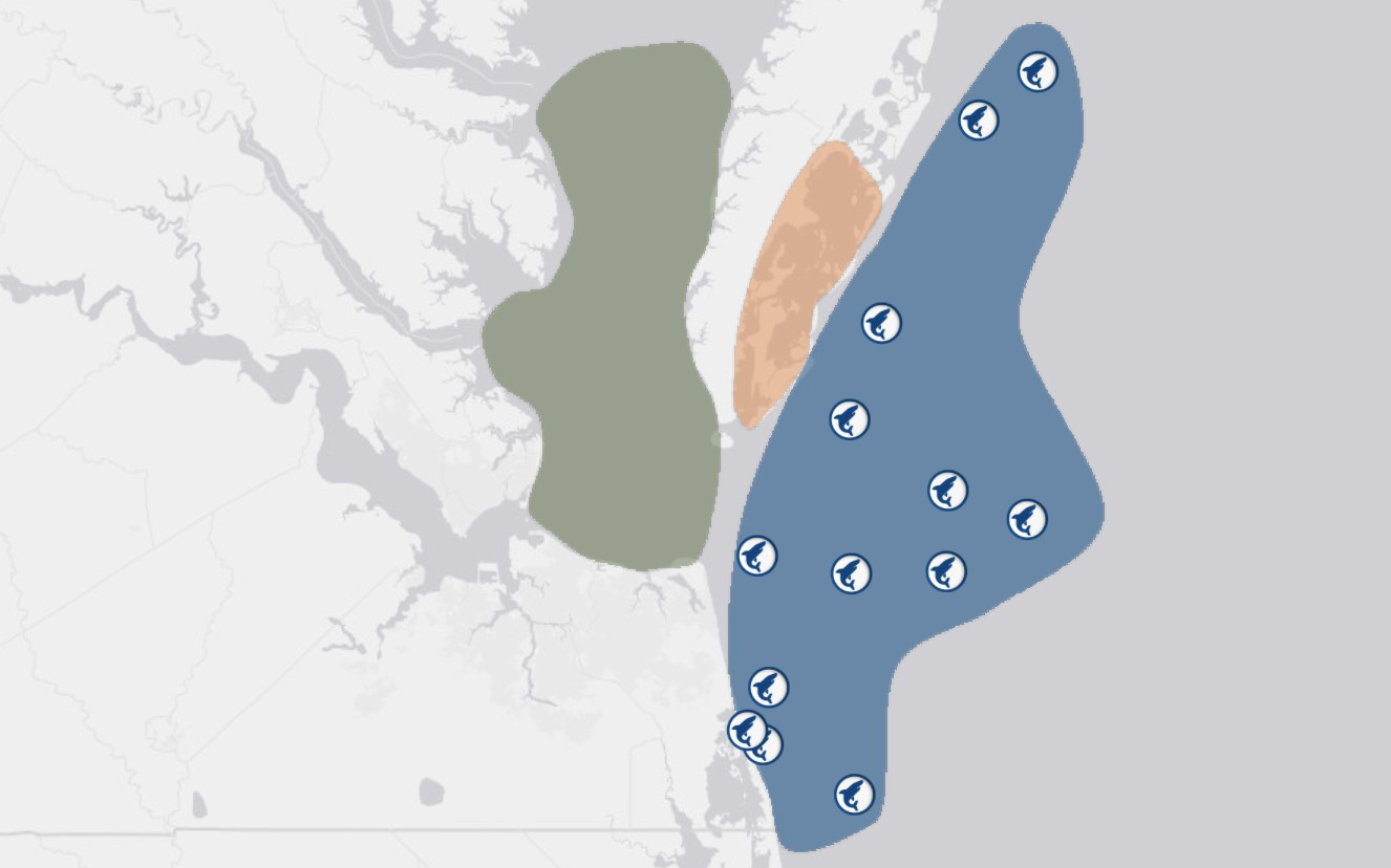 longline_stations_widget.png
