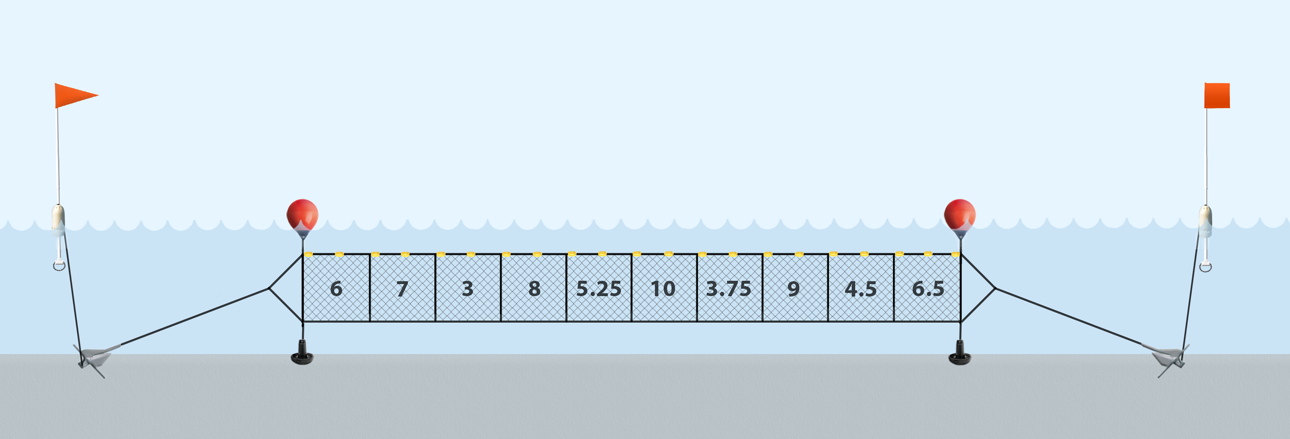 striped bass gill net graphic