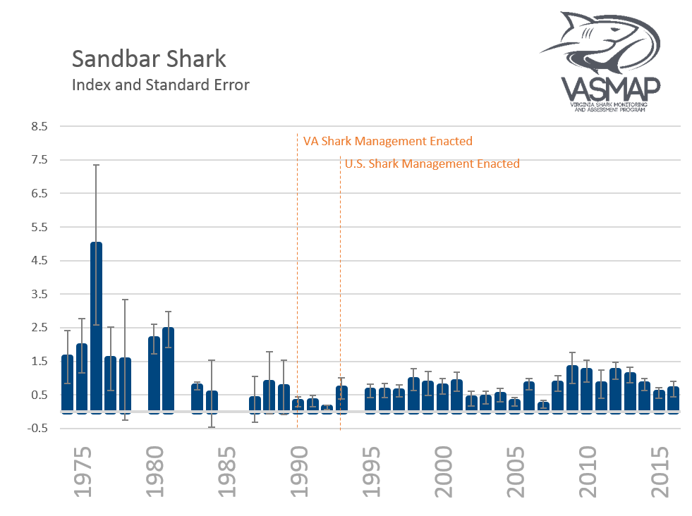 Sandbar Shark